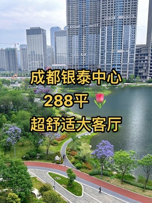 成都豪宅房產信息咨詢